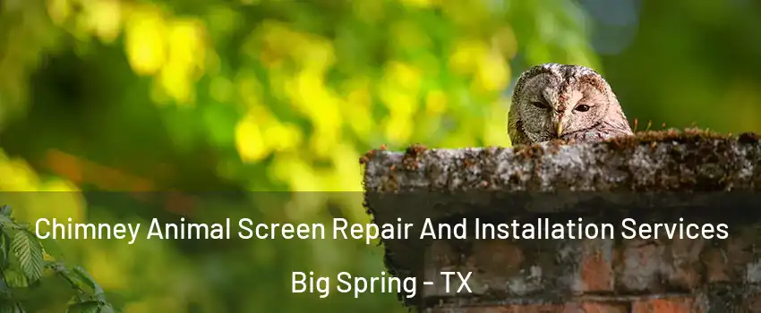  Chimney Animal Screen Repair And Installation Services Big Spring - TX