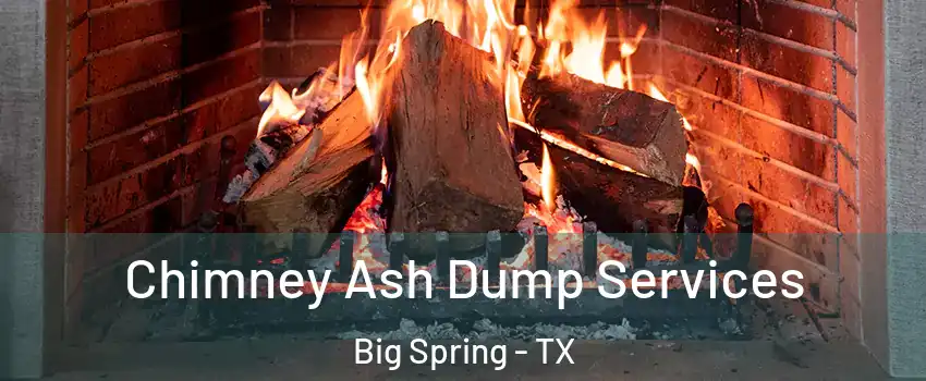  Chimney Ash Dump Services Big Spring - TX