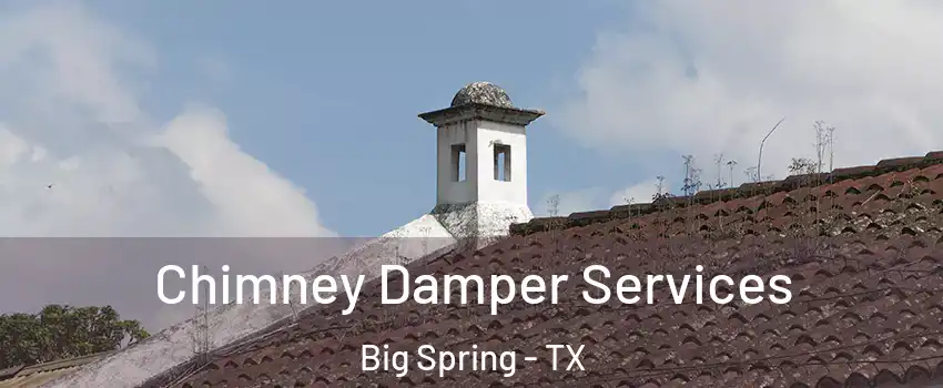  Chimney Damper Services Big Spring - TX