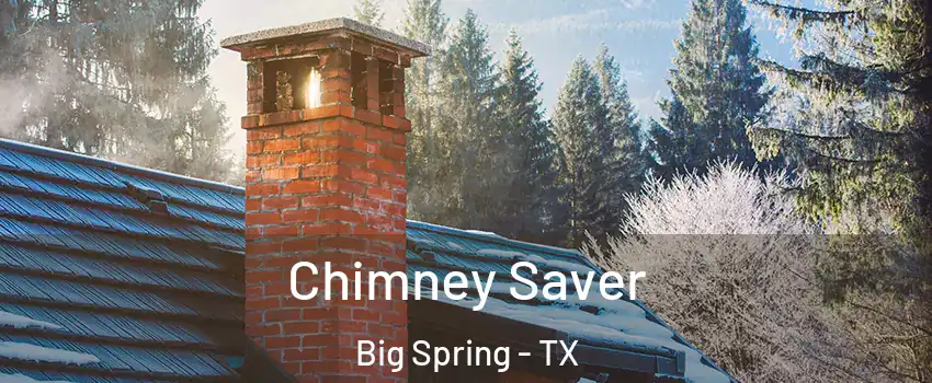  Chimney Saver Big Spring - TX