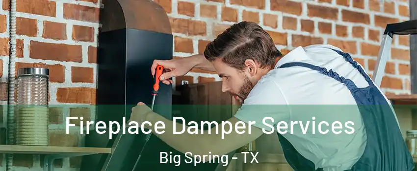  Fireplace Damper Services Big Spring - TX