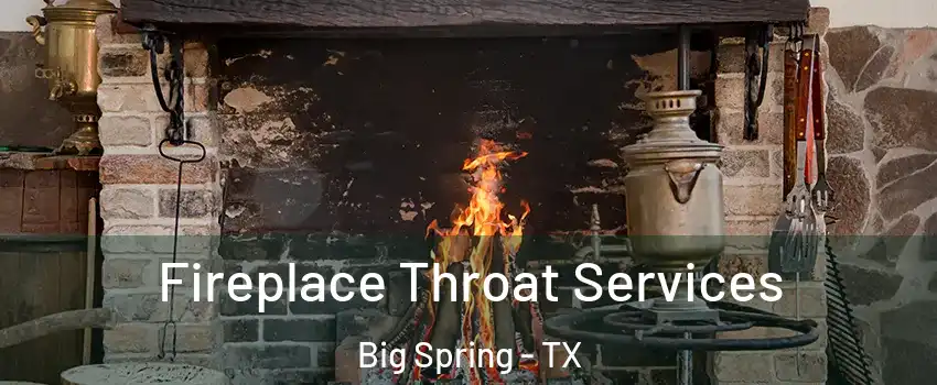  Fireplace Throat Services Big Spring - TX