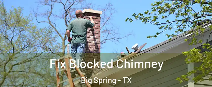  Fix Blocked Chimney Big Spring - TX