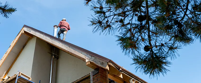 Birds Removal Contractors from Chimney in Big Spring, TX