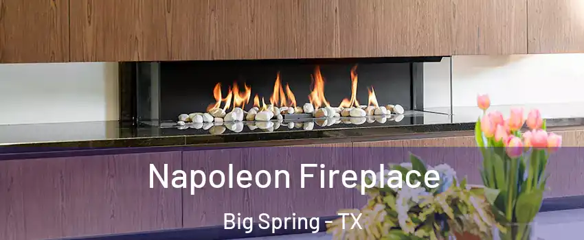  Napoleon Fireplace Big Spring - TX